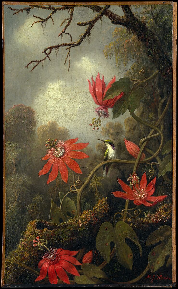 Hummingbird and Passionflowers, Martin Johnson Heade (1819–1904), Oil on canvas, American 