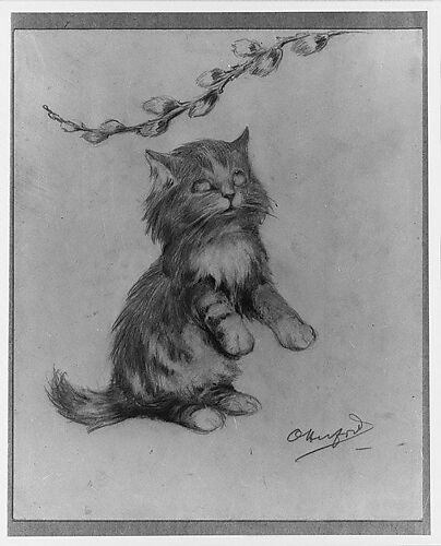 A Kitten's Fancy, for 