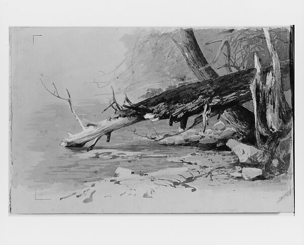 Moss-Covered Log, Hermann Herzog (American, 1832–1932), Watercolor, gouache, graphite, pen and ink, and ink washes (?) on off-white laid paper, American