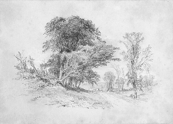 Wooded Country Lane with Figure in Distance (from Cropsey Album), John Henry Hill (American, West Nyack, New York 1839–1922), Watercolor, black chalk, and reserve on white, heavy weight, finely textured, wove paper (oval cut), American 