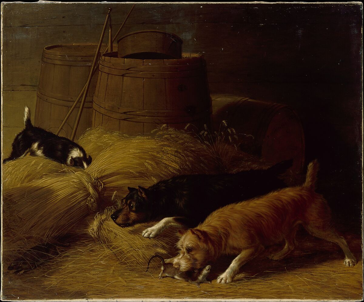 Rats amongst the Barley Sheaves, Thomas Hewes Hinckley (1813–1896), Oil on canvas, American 