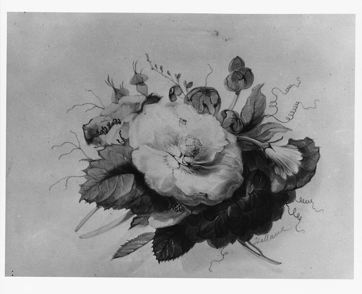 Flowers (from McGuire Scrapbook), James Holland (British, Burslem, Staffordshire 1799–1870 London), Watercolor on off-white wove paper, American 