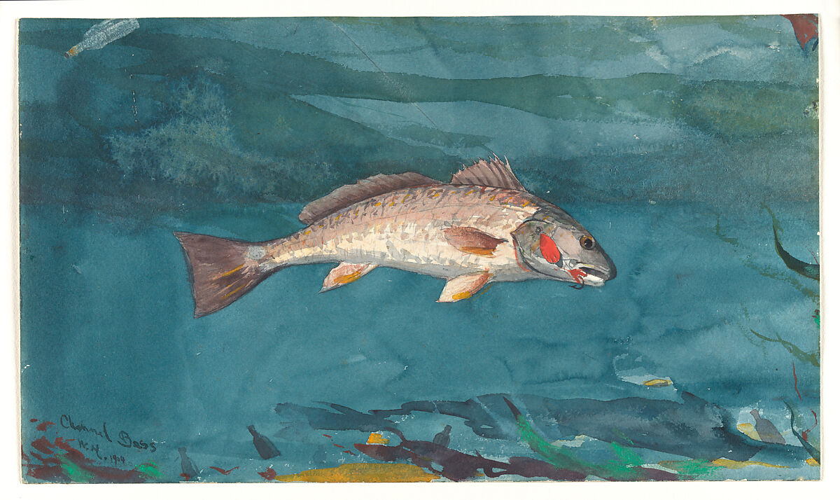 Fine Art Print Life-Size Black Bass (Vintage Fishing) - Winslow Homer