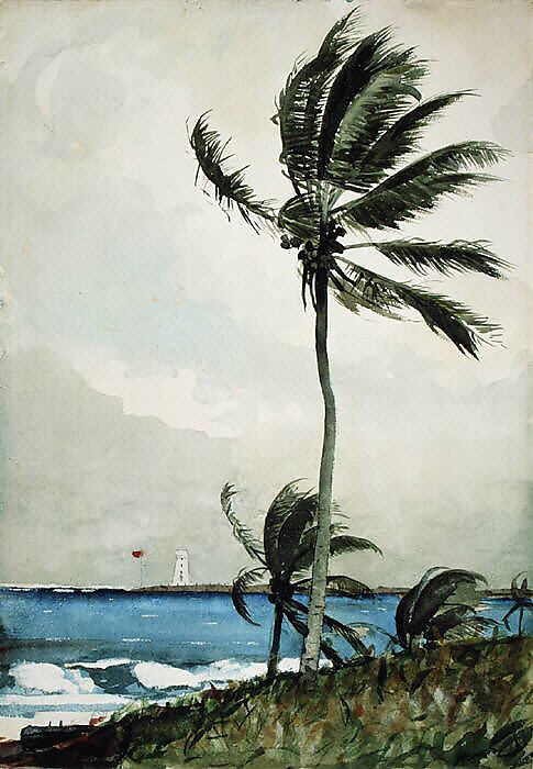 Palm Tree, Nassau, Winslow Homer (American, Boston, Massachusetts 1836–1910 Prouts Neck, Maine), Watercolor and graphite on off-white wove paper, American