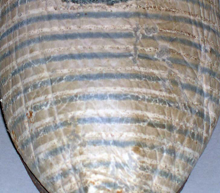 Slippers, leather, American or European