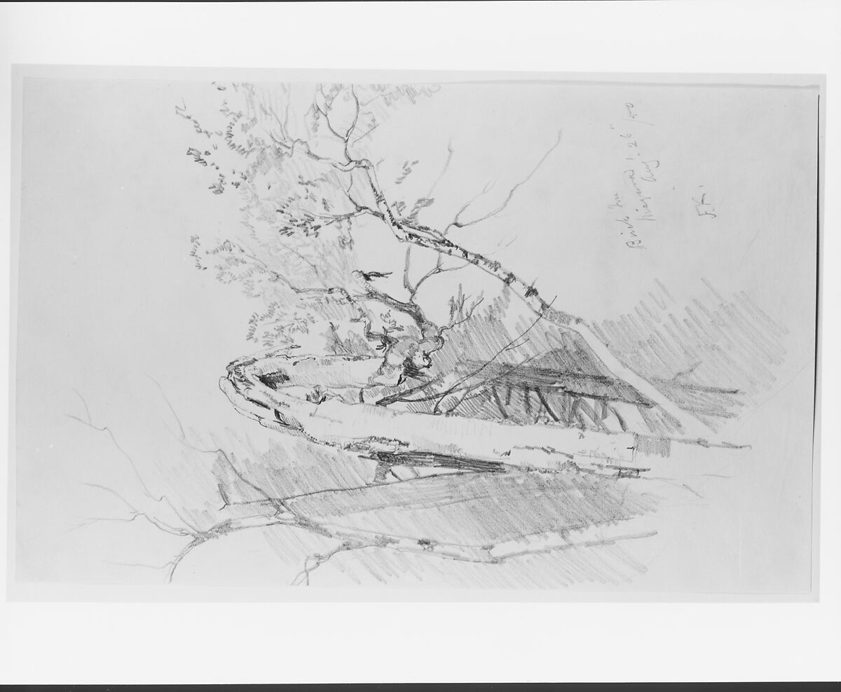 Birch Tree, Niagara, John Frederick Kensett (American, Cheshire, Connecticut 1816–1872 New York), Graphite on smooth textured off-white wove paper, American