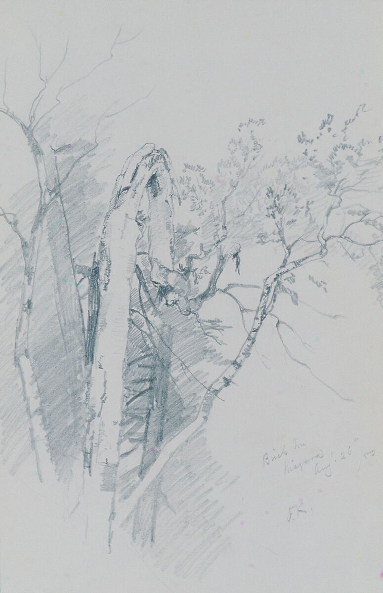 Birch Tree, Niagara, John Frederick Kensett (American, Cheshire, Connecticut 1816–1872 New York), Graphite on smooth textured off-white wove paper, American