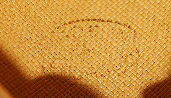 Panama hat, straw, silk, American