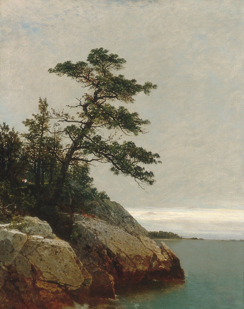 The Old Pine, Darien, Connecticut, John Frederick Kensett (American, Cheshire, Connecticut 1816–1872 New York), Oil on canvas, American 