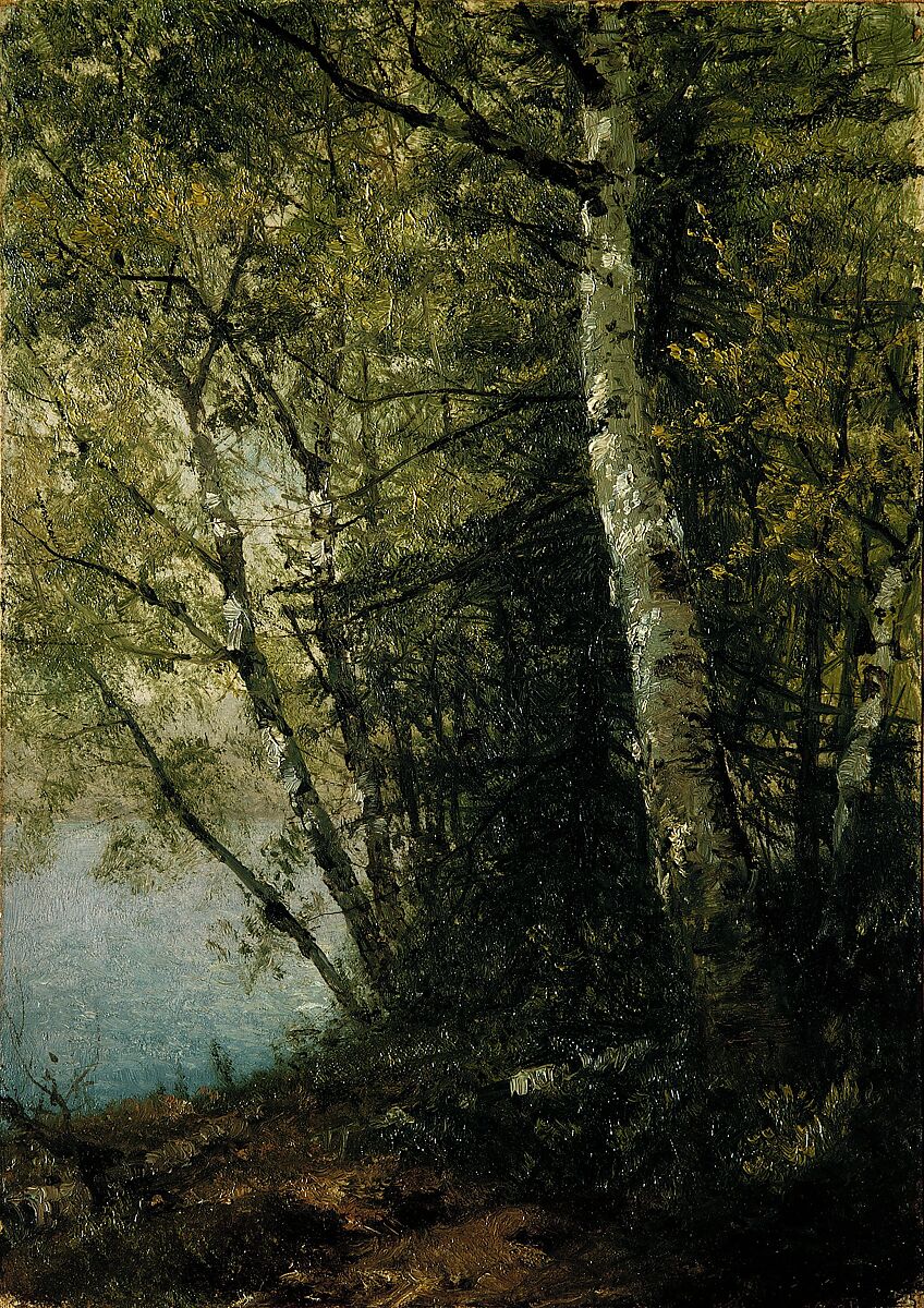 Study of Beeches, John Frederick Kensett (American, Cheshire, Connecticut 1816–1872 New York), Oil on canvas, American 