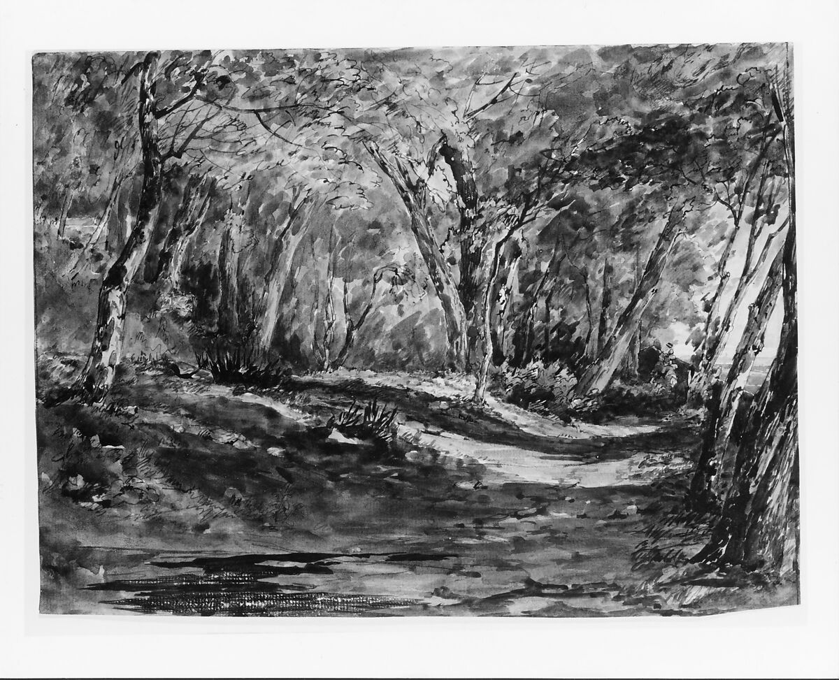 Windsor Forest, John Frederick Kensett (American, Cheshire, Connecticut 1816–1872 New York), Watercolor and brown ink on off-white laid paper, American