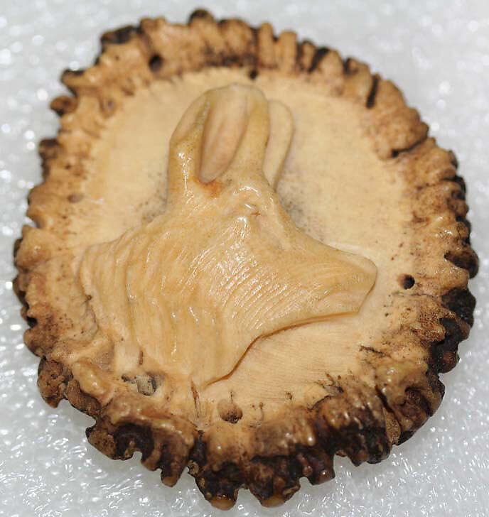 Button, horn, German