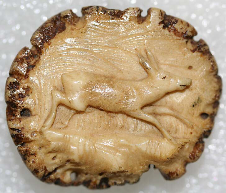 Button, horn, German