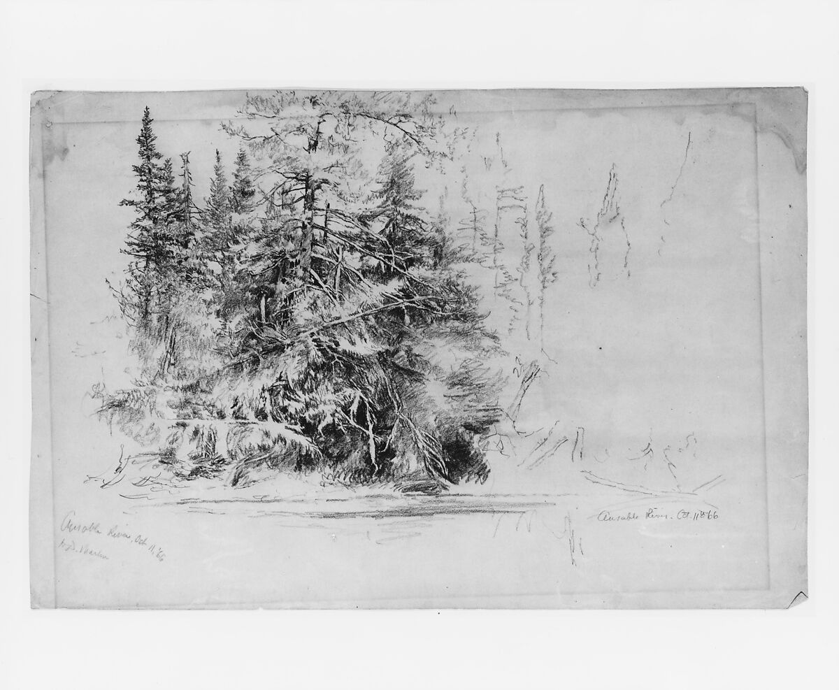 Ausable River, Homer Dodge Martin (American, Albany, New York 1836–1897 St. Paul, Minnesota), Graphite on green wove paper, American