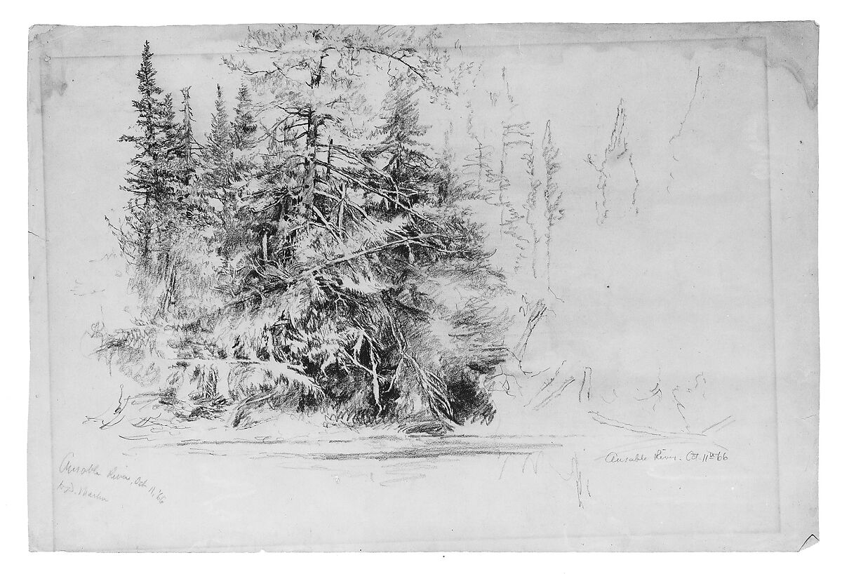 Ausable River, Homer Dodge Martin (American, Albany, New York 1836–1897 St. Paul, Minnesota), Graphite on green wove paper, American 