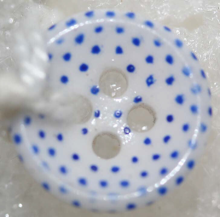 Button, china, British