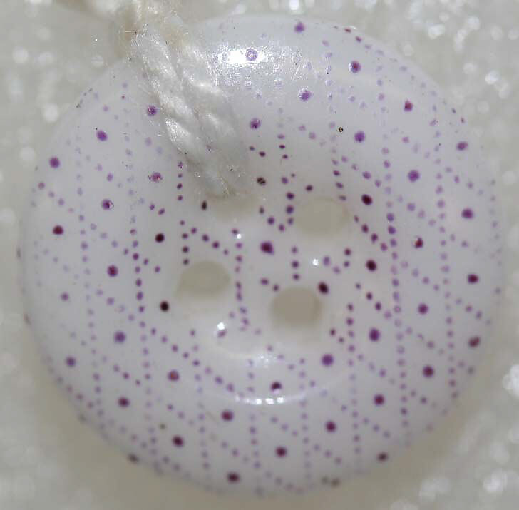 Button, china, British