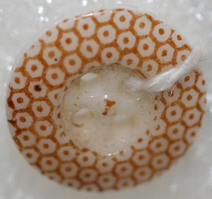 Button, china, British