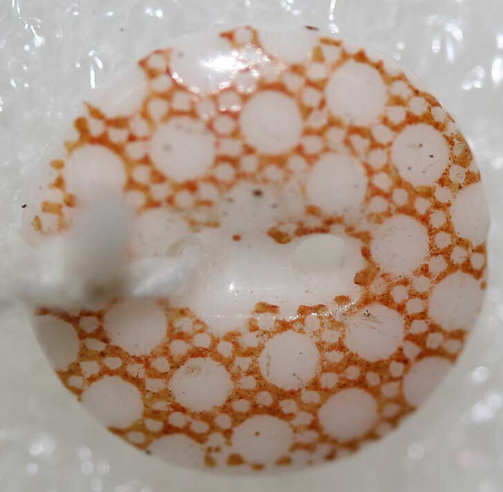 Button, china, British