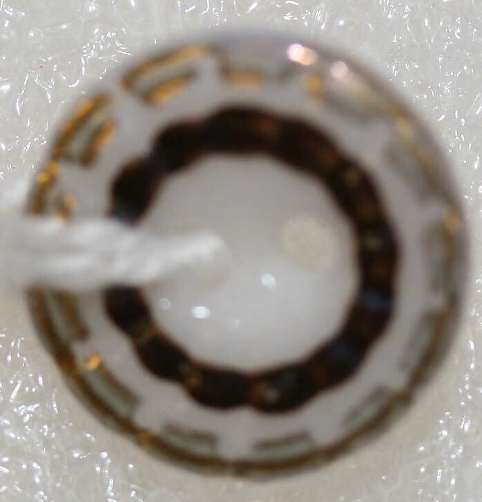Button, porcelain, American or European