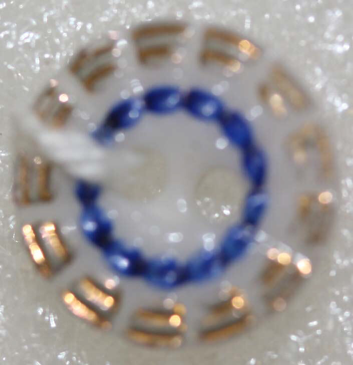 Button, porcelain, American or European