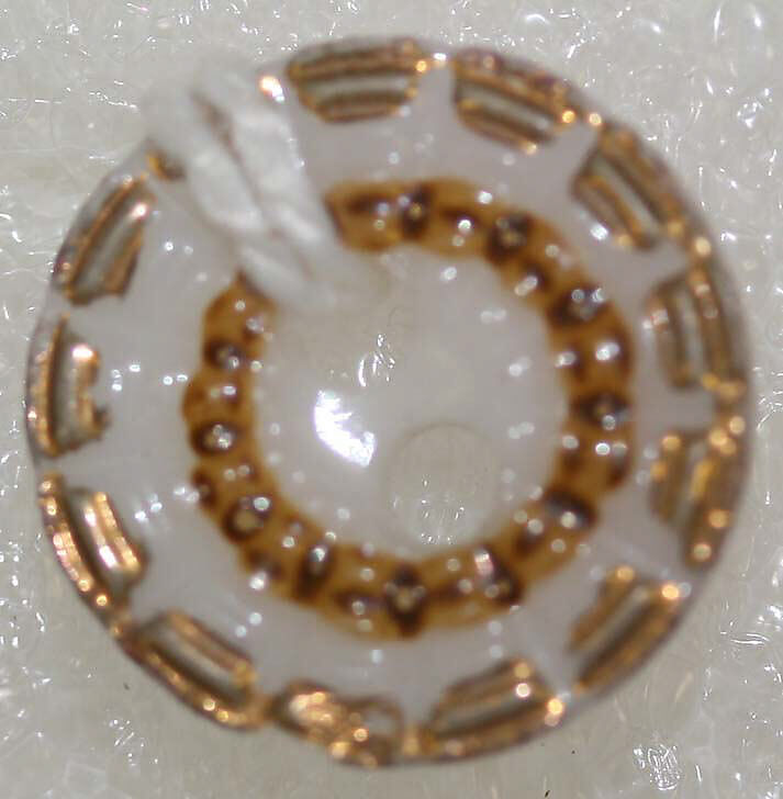 Button, porcelain, American or European