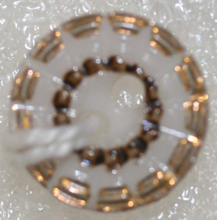 Button, porcelain, American or European