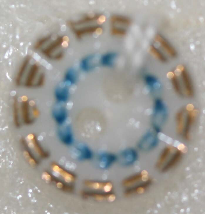 Button, porcelain, American or European