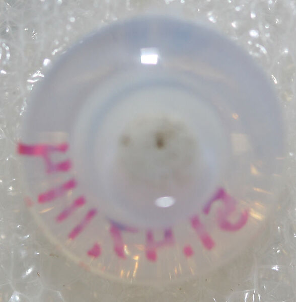 Button, glass, American or European