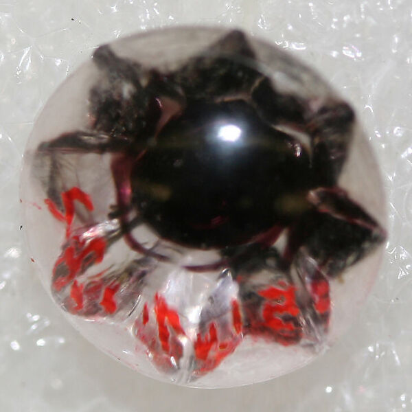 Button, glass, American or European