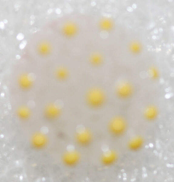 Button, glass, American or European
