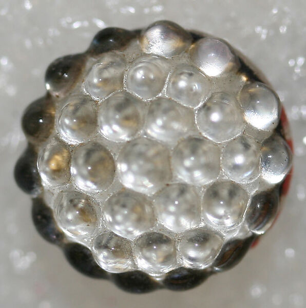 Button, glass, American or European