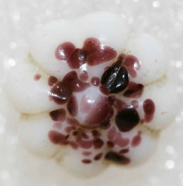 Button, glass, American or European