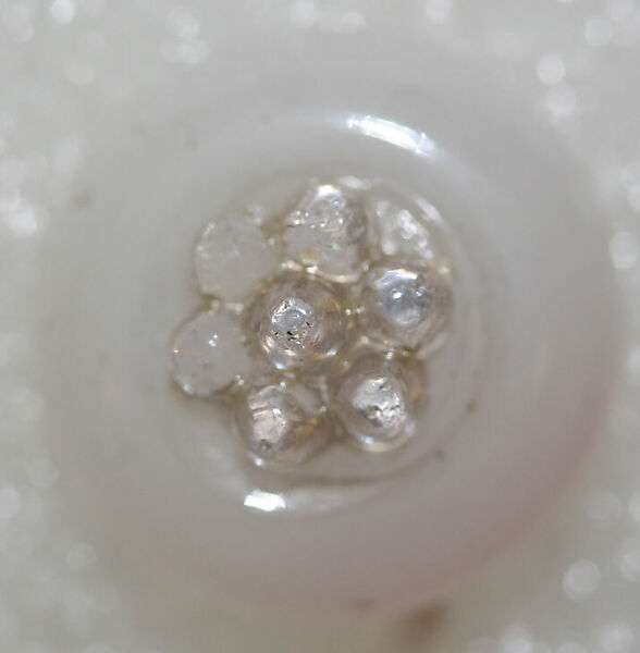 Button, glass, American or European