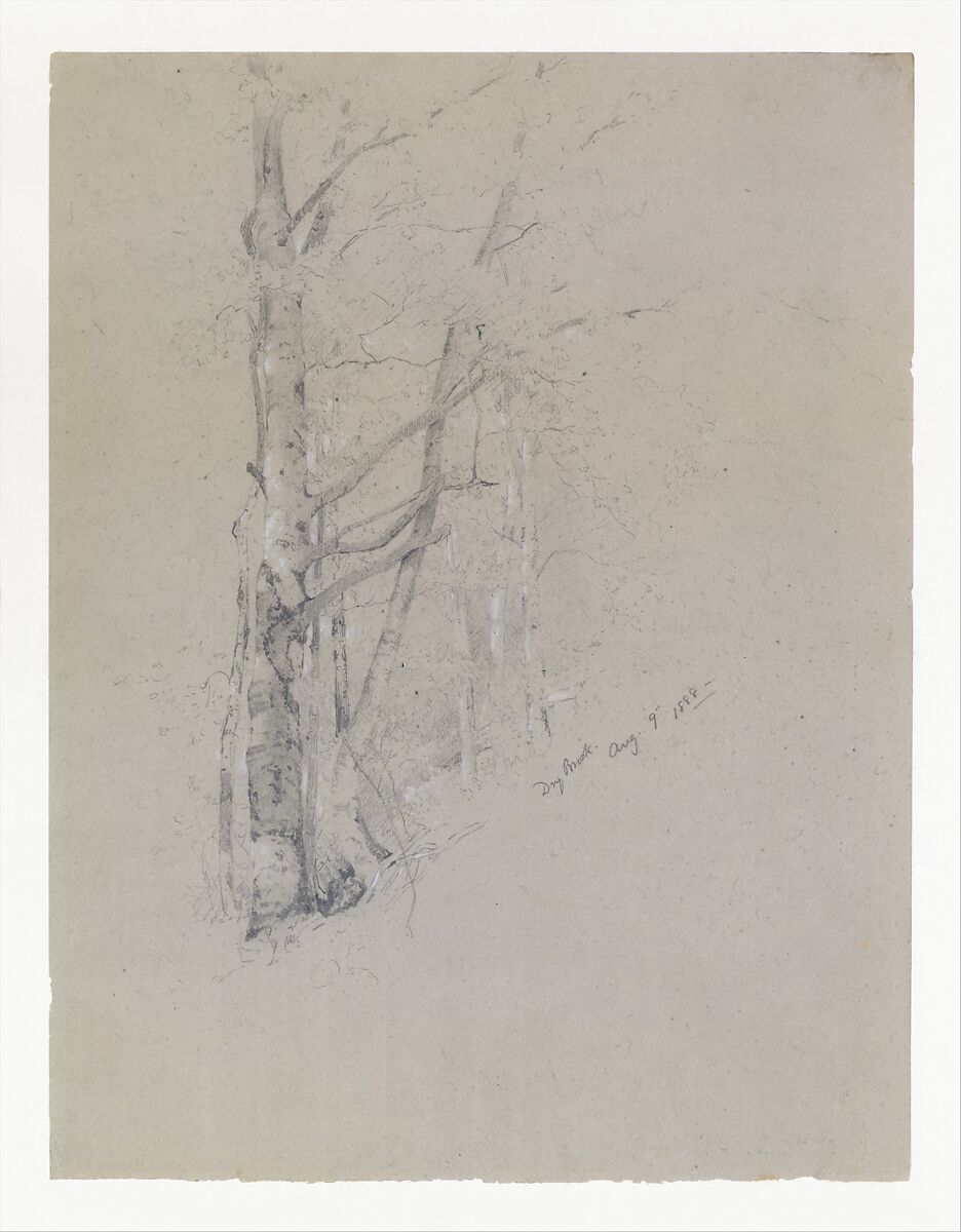 Dry Brook, Jervis McEntee (American, Rondout, New York 1828–1891 Rondout, New York), Graphite and gouache on gray wove paper, American 