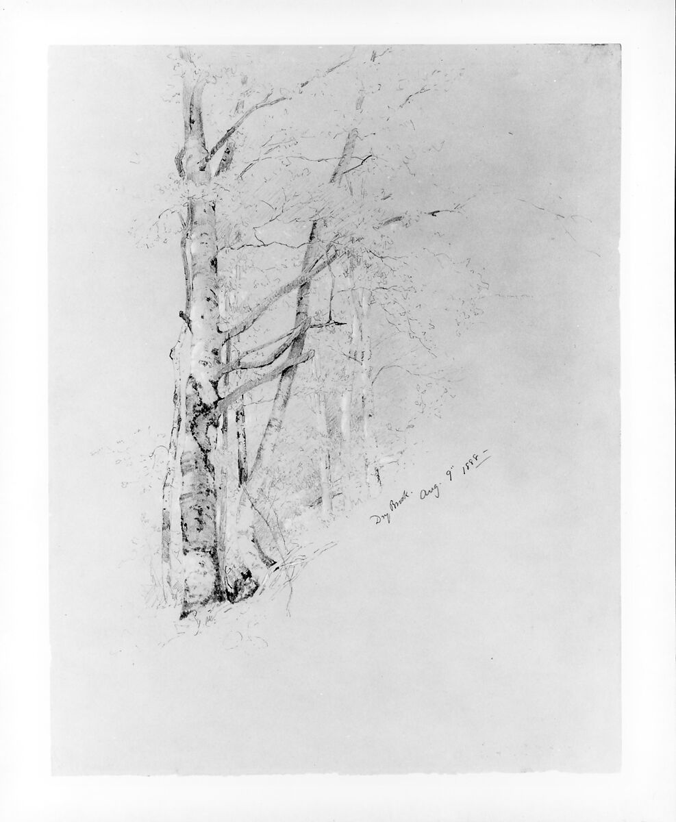 Dry Brook, Jervis McEntee (American, Rondout, New York 1828–1891 Rondout, New York), Graphite and gouache on gray wove paper, American