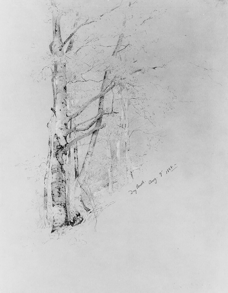 Dry Brook, Jervis McEntee (American, Rondout, New York 1828–1891 Rondout, New York), Graphite and gouache on gray wove paper, American