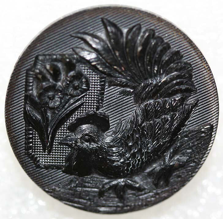 Button, horn, British