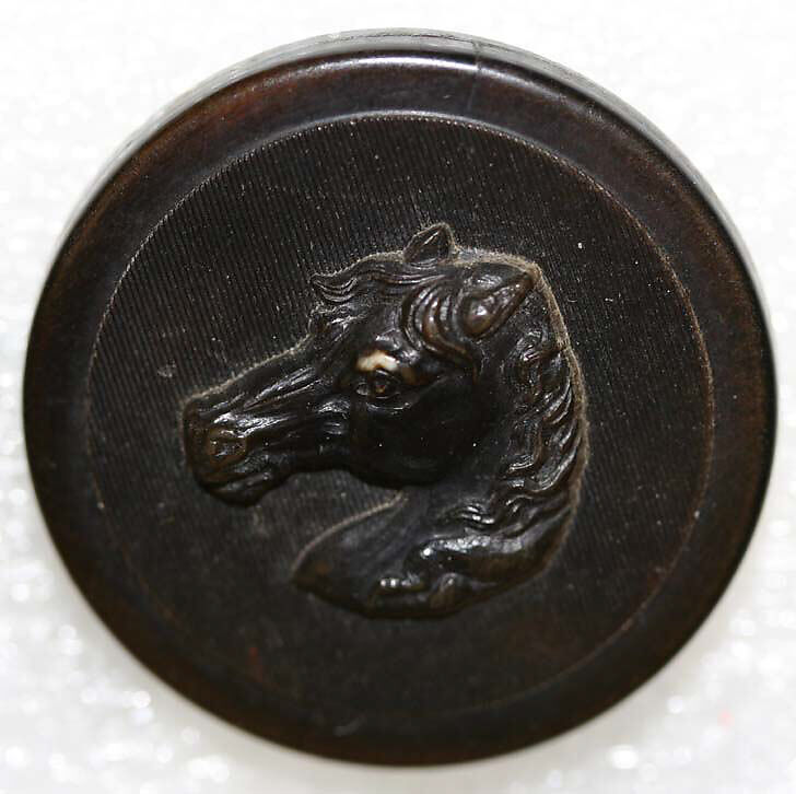 Button, horn, British