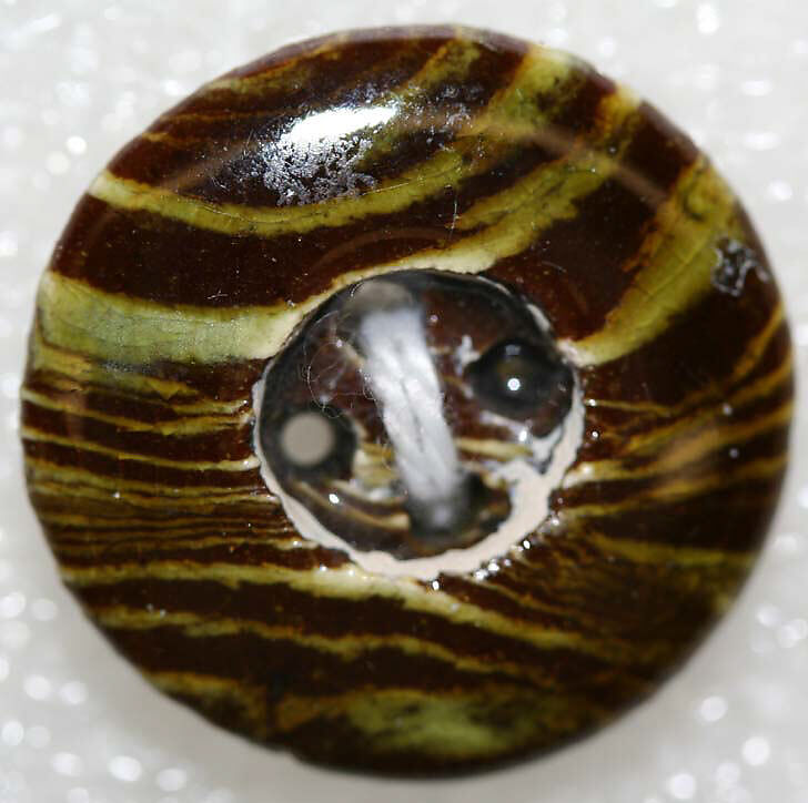 Button, [no medium available], British