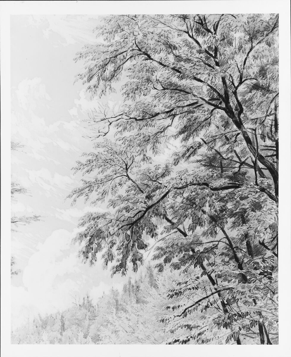 Catskill Clove in Palingsville, William Rickarby Miller (American (born England), Staindrop 1818–1893 Bronx, New York), Watercolor, gouache, and graphite on light green wove paper, American