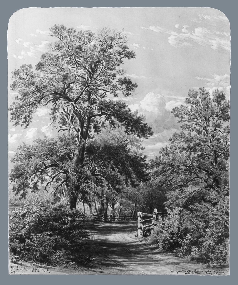 The Grandmother Tree, near Middletown, Long Island, William Rickarby Miller (American (born England), Staindrop 1818–1893 Bronx, New York), Watercolor, gouache, and graphite on off-white wove paper, American 