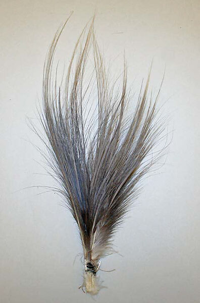 Aigrette, feathers, American or European 