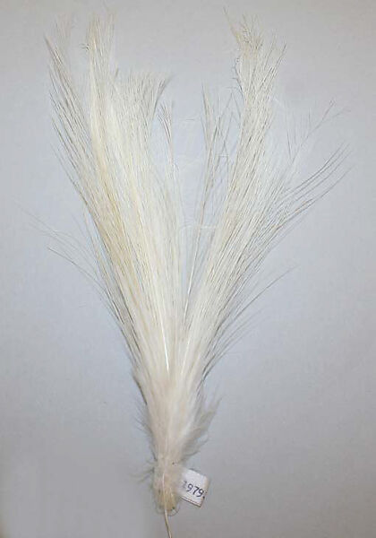 Aigrette, feathers, American or European 