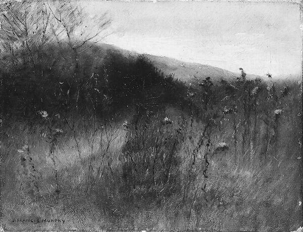 Landscape, John Francis Murphy (American, Oswego, New York 1853–1921 New York), Oil on canvas, American 