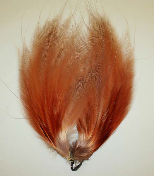 Feather, feathers, American or European 