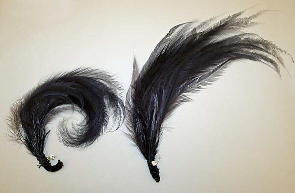 Feather, feathers, American or European