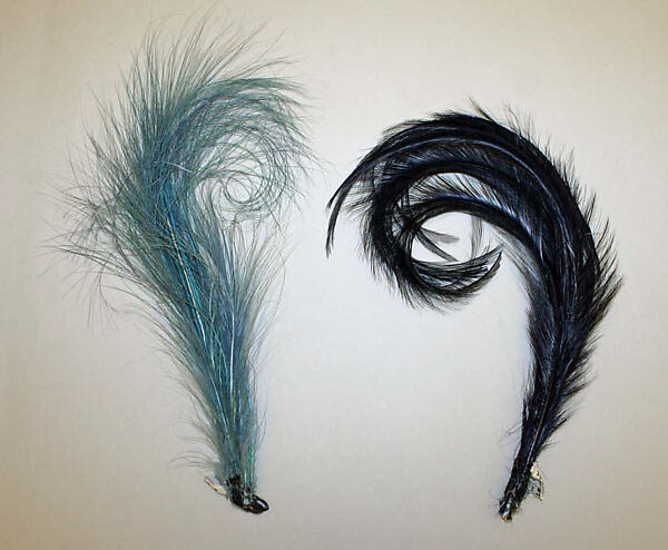 Feather, feathers, American or European