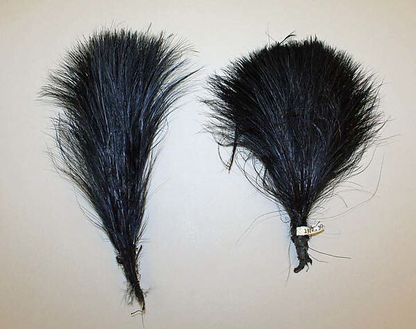 Feather, feathers, American or European