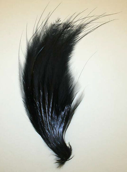 Feather, feathers, probably American 